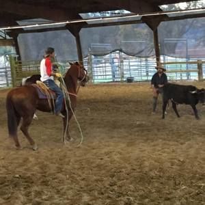 Meet your Posher, Chino